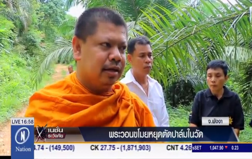 พระวอนขโมยหยุดตัดปาล์มในวัด พระวอนขโมยหยุดตัดปาล์มในวัด