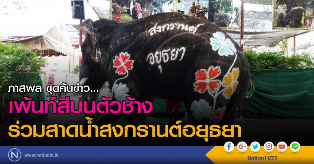 ภาสพล ขุดค้นข่าว...เพ้นท์สีบนตัวช้าง ร่วมสาดน้ำสงกรานต์อยุธยา