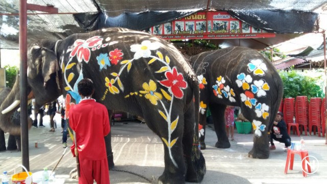 ภาสพล ขุดค้นข่าว...เพ้นท์สีบนตัวช้าง ร่วมสาดน้ำสงกรานต์อยุธยา
