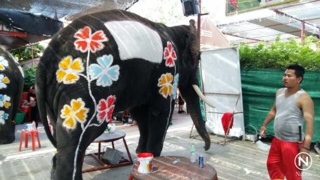 ภาสพล ขุดค้นข่าว...เพ้นท์สีบนตัวช้าง ร่วมสาดน้ำสงกรานต์อยุธยา
