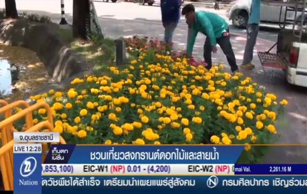 ชวนเที่ยวสงกรานต์ ดอกไม้และสายน้ำ ชวนเที่ยวสงกรานต์ ดอกไม้และสายน้ำ