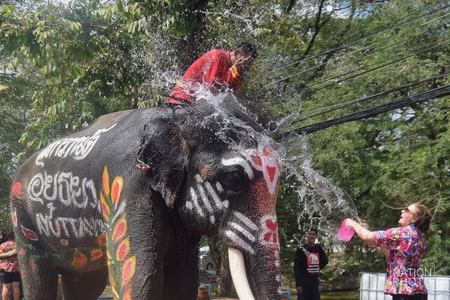 สงกรานต์อยุธยานำร่องเล่นน้ำสงกรานต์ วิถีช้างวิถีไทย