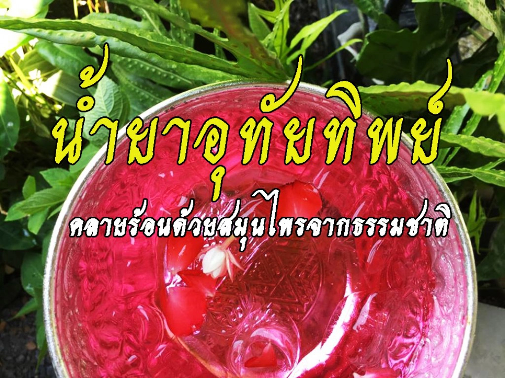 น้ำยาอุทัยทิพย์ ผลิตภัณฑ์จากสมุนไพรอีกหนึ่งไอเท็มดับกระหายคลายร้อน