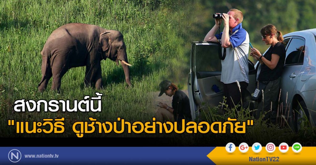 สงกรานต์นี้ "แนะวิธี ดูช้างป่าอย่างปลอดภัย" สงกรานต์นี้ "แนะวิธี ดูช้างป่าอย่างปลอดภัย"