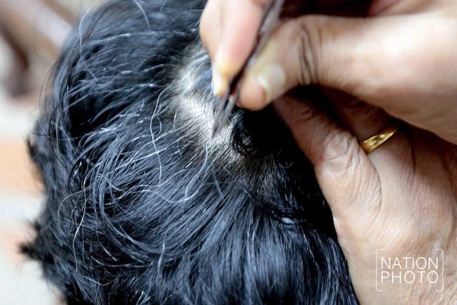 "ถอนหงอก" เสริมใยรัก วันครอบครัว...