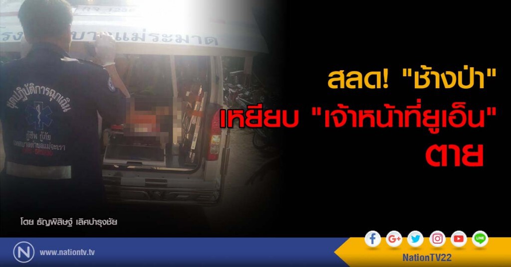 สลด! "ช้างป่า" เหยียบ "เจ้าหน้าที่ยูเอ็น" ตาย สลด! "ช้างป่า" เหยียบ "เจ้าหน้าที่ยูเอ็น" ตาย