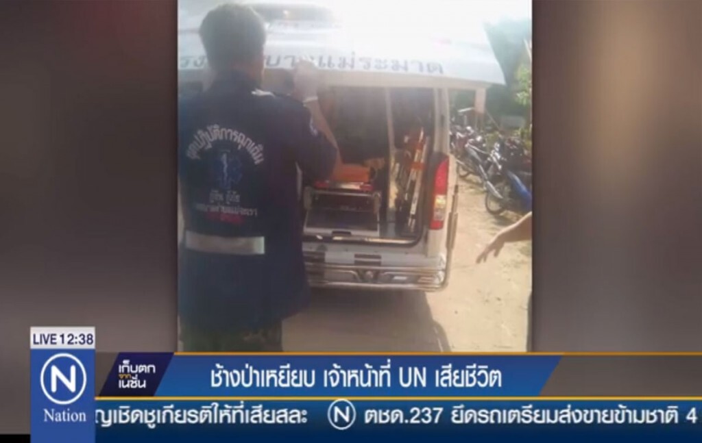 ช้างป่าเหยียบเจ้าหน้าที่ UN ตาย ช้างป่าเหยียบเจ้าหน้าที่ UN ตาย