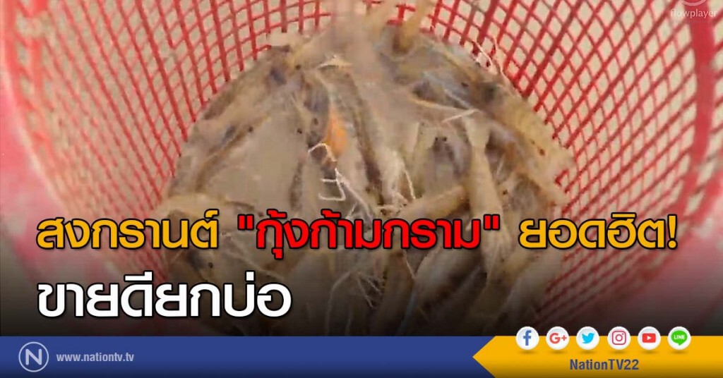 สงกรานต์ "กุ้งก้ามกราม" ยอดฮิต! ขายดียกบ่อ