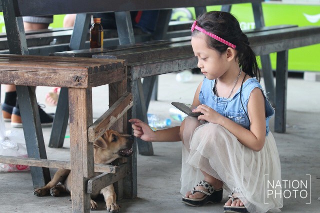 ในมุมหนึ่ง... ท่ามกลางความวุ่นวาย