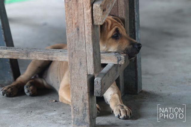 ในมุมหนึ่ง... ท่ามกลางความวุ่นวาย