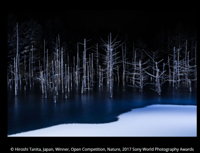 10 ภาพสุดยอด Sony World Photography Awards
