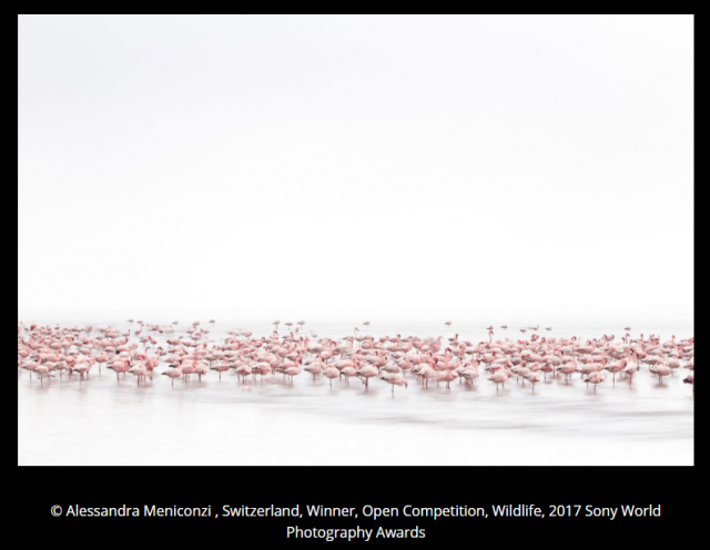10 ภาพสุดยอด Sony World Photography Awards