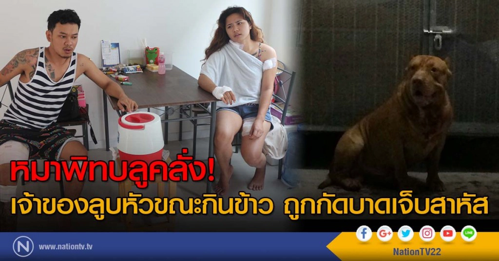 หมาพิทบลูคลั่ง! เจ้าของลูบหัวขณะกินข้าว ถูกกัดบาดเจ็บสาหัส