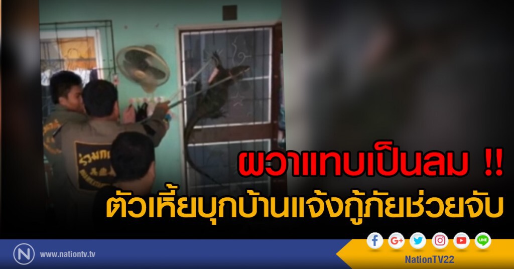 ผวาแทบเป็นลม !! ตัวเหี้ยบุกบ้านแจ้งกู้ภัยช่วยจับ ผวาแทบเป็นลม !! ตัวเหี้ยบุกบ้านแจ้งกู้ภัยช่วยจับ