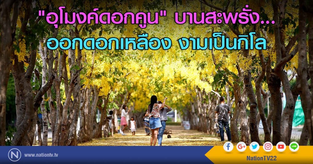 "อุโมงค์ดอกคูน" บานสะพรั่ง... ออกดอกเหลือง งามเป็นกิโล "อุโมงค์ดอกคูน" บานสะพรั่ง... ออกดอกเหลือง งามเป็นกิโล