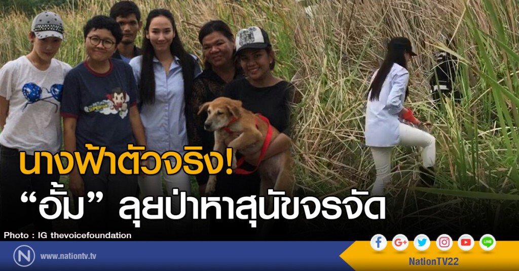 นางฟ้าตัวจริง!
"อั้ม" ลุยป่าหาสุนัขจรจัด นางฟ้าตัวจริง!
"อั้ม" ลุยป่าหาสุนัขจรจัด