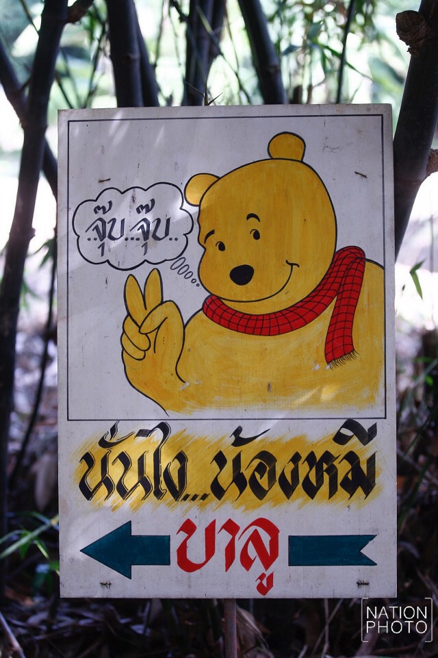"พระพยอม" ยัน "น้องหมีบาลู" มีอาหารกินอย่างดี ขนาดกล้วยวัดยังปลูกเอง