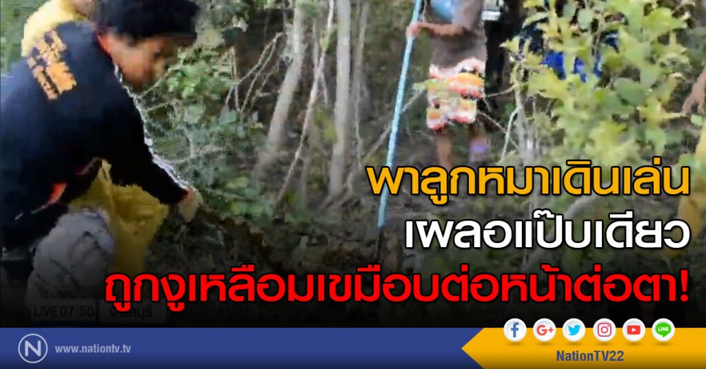 พาลูกหมาเดินเล่น เผลอแป๊บเดียวถูกงูเหลือมเขมือบต่อหน้าต่อตา พาลูกหมาเดินเล่น เผลอแป๊บเดียวถูกงูเหลือมเขมือบต่อหน้าต่อตา