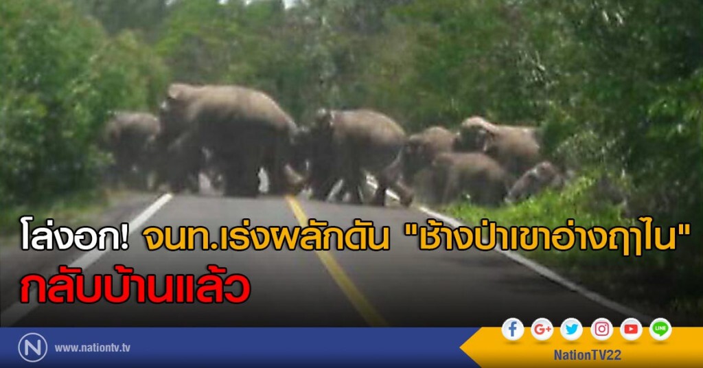 โล่งอก! จนท.เร่งผลักดัน "ช้างป่าเขาอ่างฤาไน" กลับบ้านแล้ว