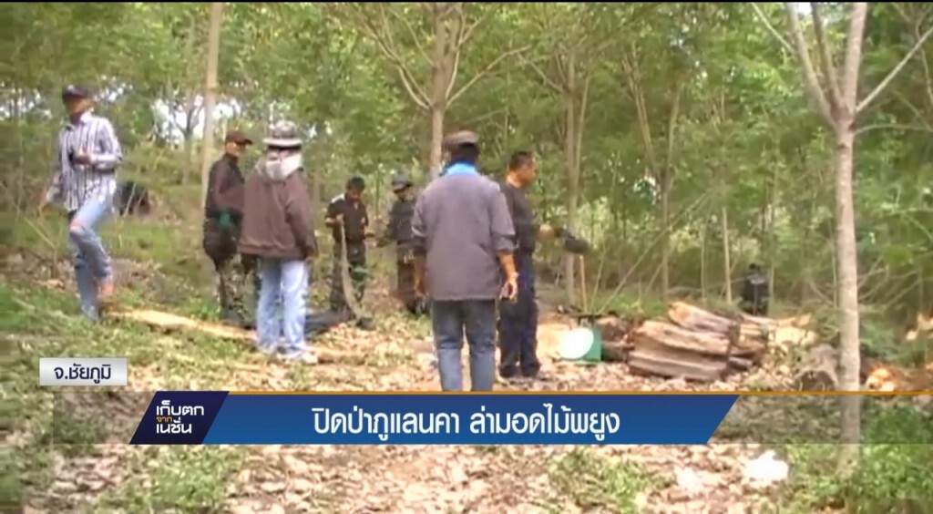 21-4-60 เก็บตกเที่ยง : ปิดป่าภูแลนคา ล่ามอดไม้พยูง จ.ชัยภูมิ 21-4-60 เก็บตกเที่ยง : ปิดป่าภูแลนคา ล่ามอดไม้พยูง จ.ชัยภูมิ