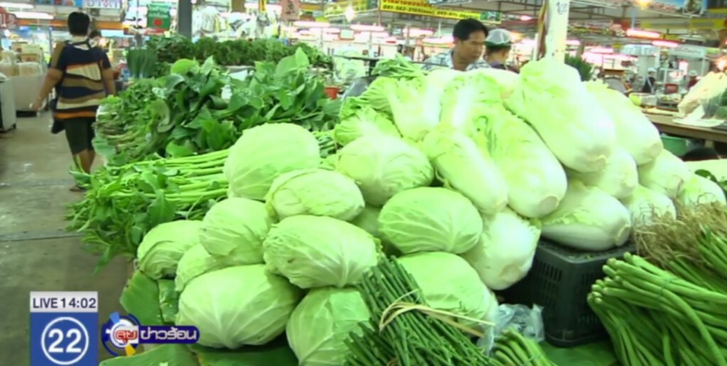 แนะล้างผักให้สะอาดก่อนกิน หวั่นยาฆ่าแมลงตกค้าง ถึงตายได้ แนะล้างผักให้สะอาดก่อนกิน หวั่นยาฆ่าแมลงตกค้าง ถึงตายได้