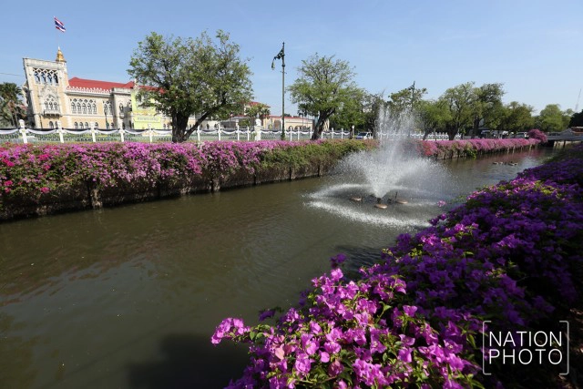 ดอกเฟื่องฟ้าเบ่งบานสร้างความสดชื่นหน้าทำเนียบรัฐบาล