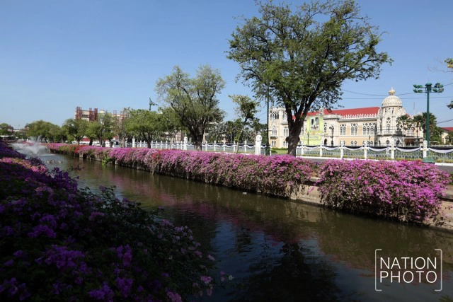 ดอกเฟื่องฟ้าเบ่งบานสร้างความสดชื่นหน้าทำเนียบรัฐบาล