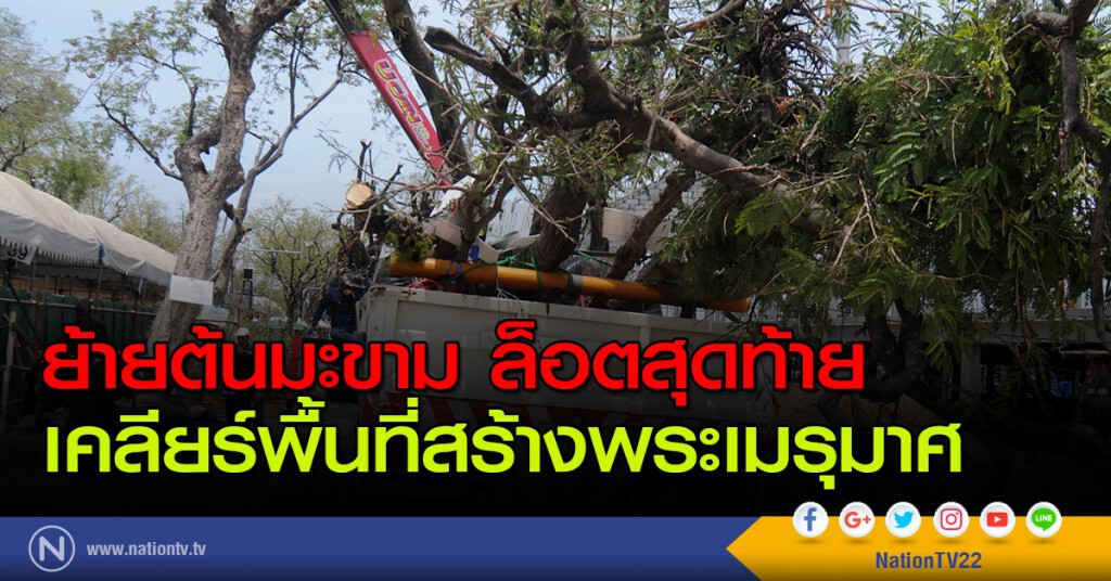 กทม. เตรียมย้ายต้นมะขามล็อตสุดท้าย เคลียร์พื้นที่สร้างพระเมรุมาศ กทม. เตรียมย้ายต้นมะขามล็อตสุดท้าย เคลียร์พื้นที่สร้างพระเมรุมาศ