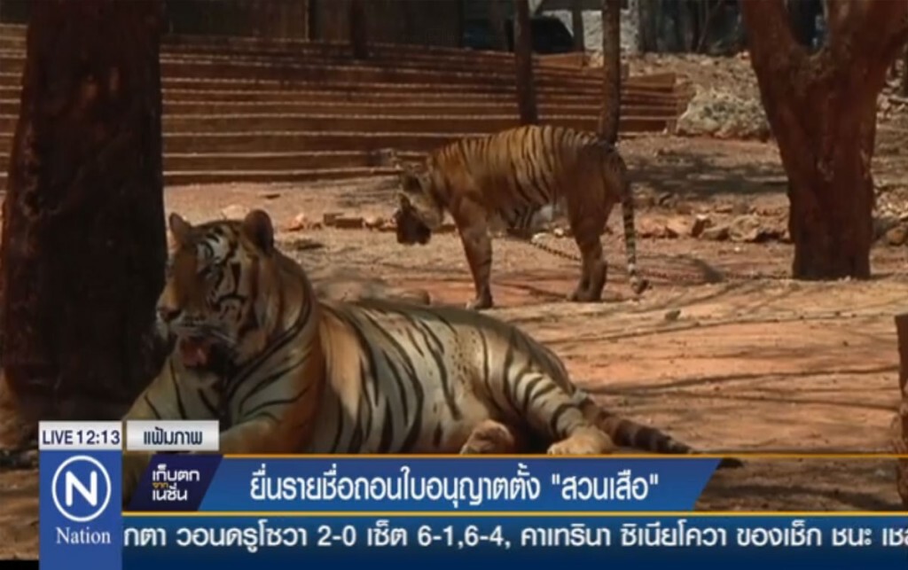 ยื่นรายชื่อถอนใบอนุญาตตั้ง "สวนเสือ" ยื่นรายชื่อถอนใบอนุญาตตั้ง "สวนเสือ"