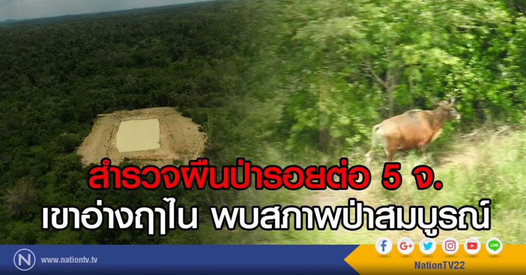 สำรวจผืนป่ารอยต่อ 5 จ.
เขาอ่างฤาไน พบสภาพป่าสมบูรณ์ สำรวจผืนป่ารอยต่อ 5 จ.
เขาอ่างฤาไน พบสภาพป่าสมบูรณ์