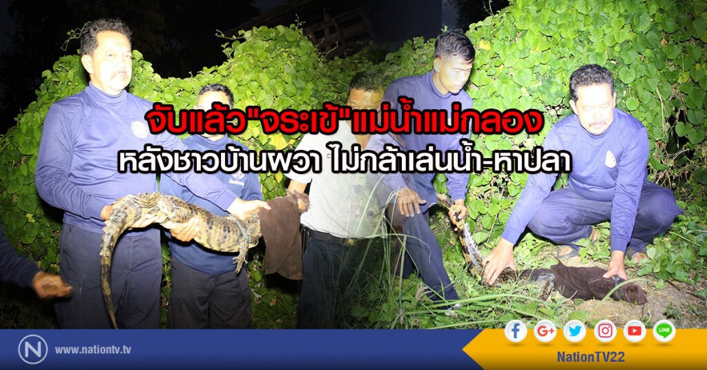 จับแล้ว"จระเข้"แม่น้ำแม่กลอง
หลังชาวบ้านผวา ไม่กล้าเล่นน้ำ-หาปลา