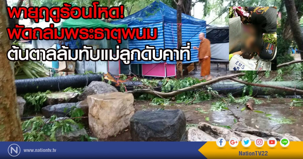 พายุฤดูร้อนโหด พัดถล่มพระธาตุพนม
ต้นตาลล้มทับแม่ลูกดับคาที่