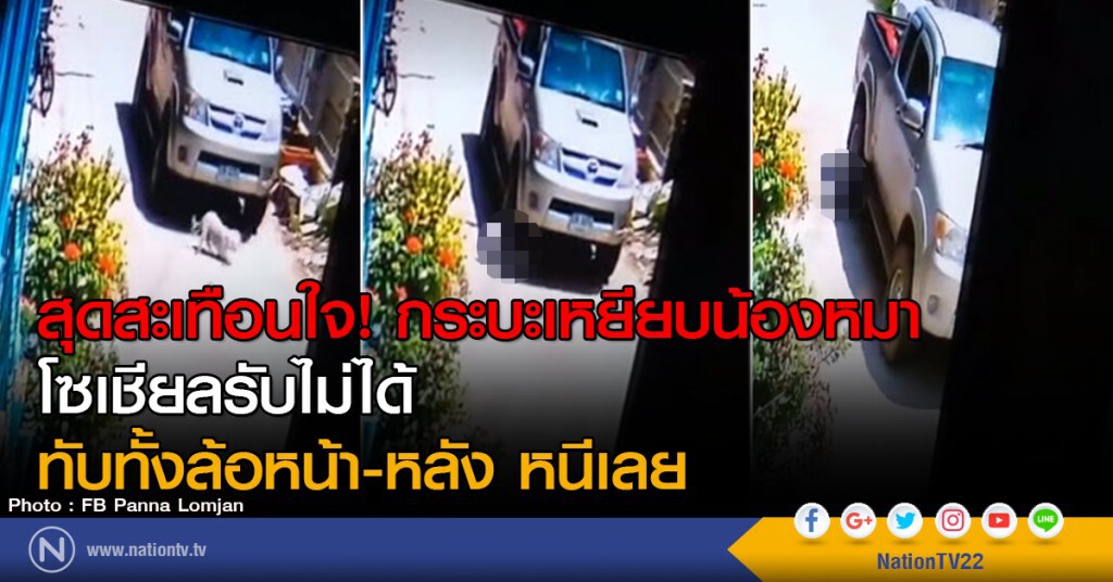 สุดสะเทือนใจ กระบะเหยียบน้องหมา
โซเชียลรับไม่ได้ ทับทั้งล้อหน้า-หลัง หนีเลย