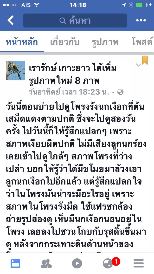 โจรใจบาป ขโมยลูกนกเงือก
ฆ่าแม่นกตายคารัง