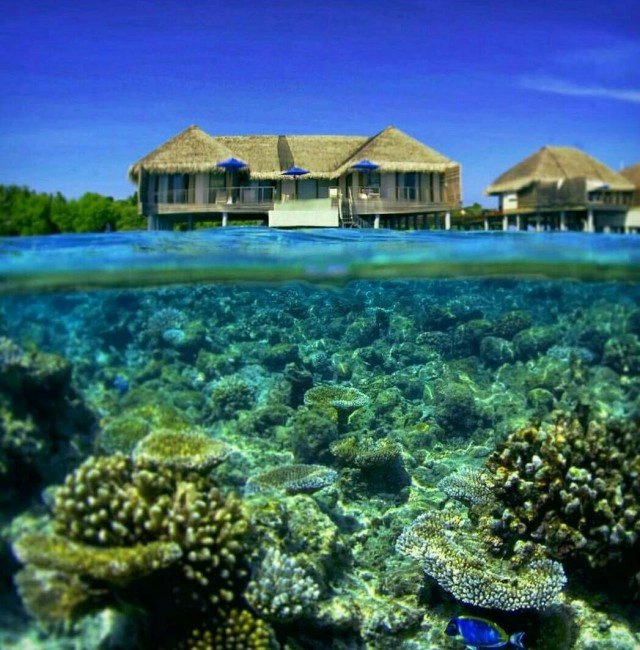 เที่ยว มัลดีฟส์ ออกไปแตะขอบน้ำขอบฟ้ากันเถอะ