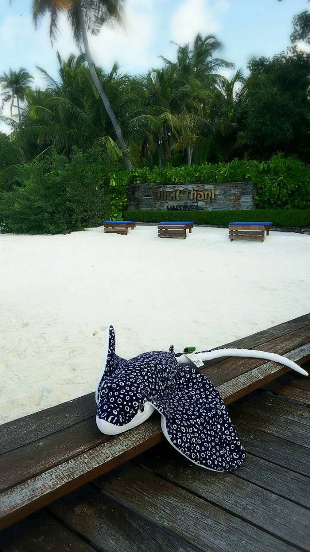 เที่ยว มัลดีฟส์ ออกไปแตะขอบน้ำขอบฟ้ากันเถอะ