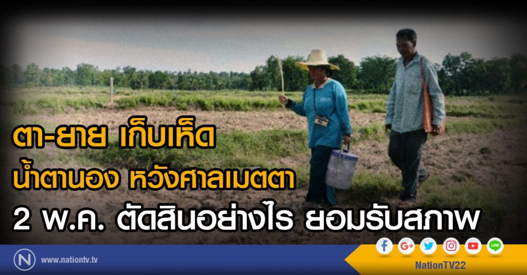 ตา-ยาย เก็บเห็ด
น้ำตานอง  หวังศาลเมตตา
 2 พ.ค. ตัดสินอย่างไร ยอมรับสภาพ