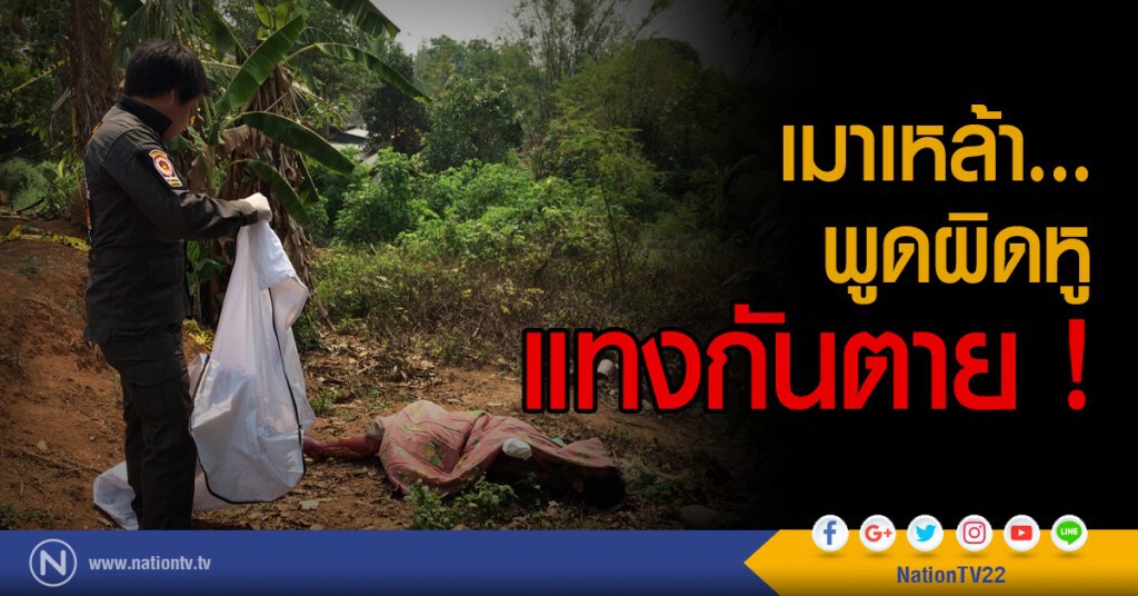 เมาเหล้า
พูดผิดหู
แทงกันตาย
