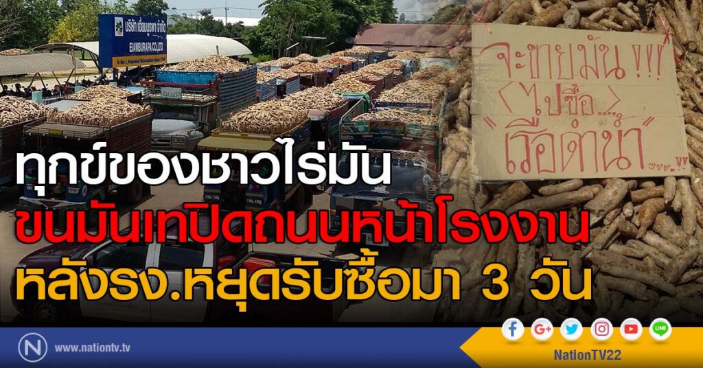 ทุกข์ของชาวไร่มัน
ขนมันเทปิดถนนหน้าโรงงาน
หลังรง.หยุดรับซื้อมา 3 วัน