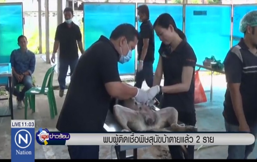 พบผู้ติดเชื้อพิษสุนัขบ้าตายแล้ว 2 ราย พบผู้ติดเชื้อพิษสุนัขบ้าตายแล้ว 2 ราย