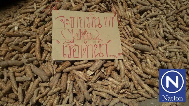 ทุกข์ของชาวไร่มัน
ขนมันเทปิดถนนหน้าโรงงาน
หลังรง.หยุดรับซื้อมา 3 วัน