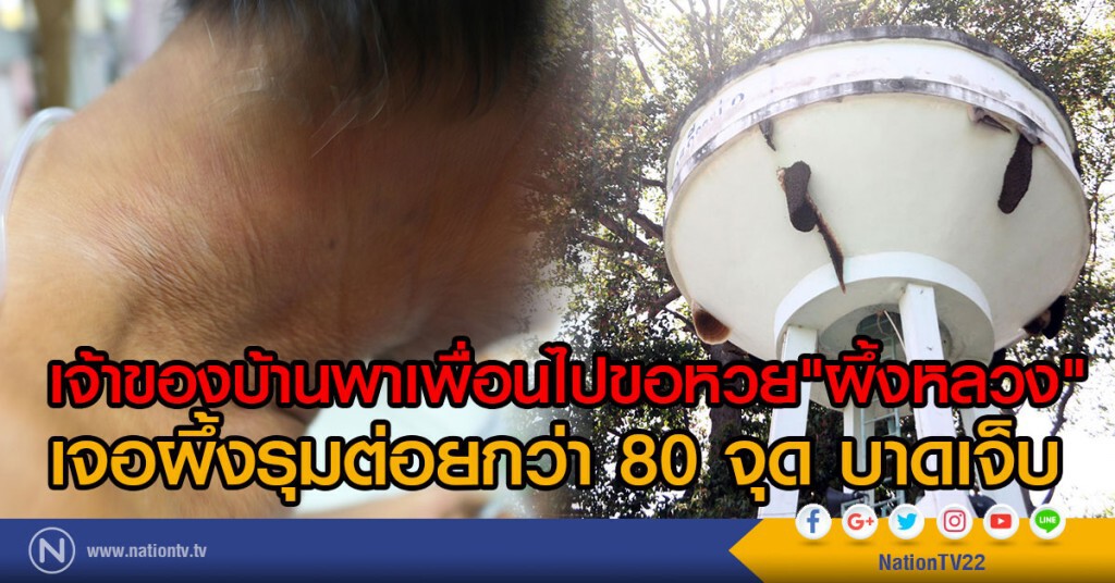 เจ้าของบ้านพาเพื่อนไปขอหวย "ผึ้งหลวง"
เจอรุมต่อยกว่า 80 จุด บาดเจ็บ