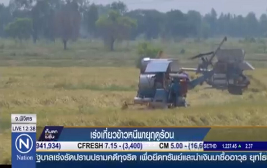 เร่งเกี่ยวข้าวหนีพายุฤดูร้อน เร่งเกี่ยวข้าวหนีพายุฤดูร้อน