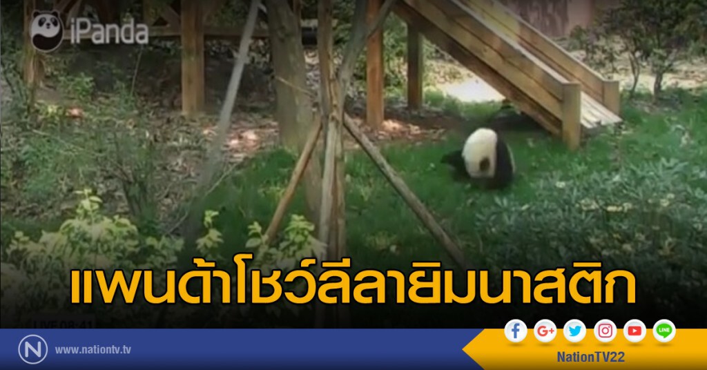แพนด้าตีลังกาแปดตลบ แพนด้าตีลังกาแปดตลบ