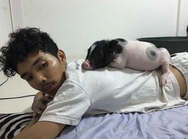 "ปลื้ม สุรบถ" ขอโหนกระแสหมูจูเนียร์
อวดความน่ารัก "เจ๊ศรี"
คนขายบอกโตขึ้นนิดเดียว!!