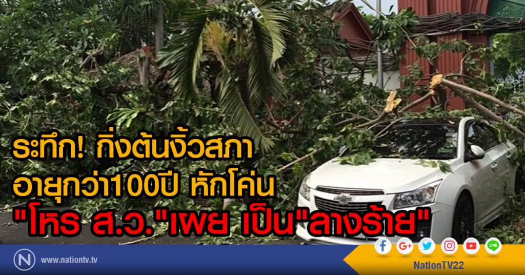 ระทึก! กิ่งต้นงิ้วสภาอายุกว่า100ปี หักโค่น
"โหร ส.ว."เผย เป็น"ลางร้าย"