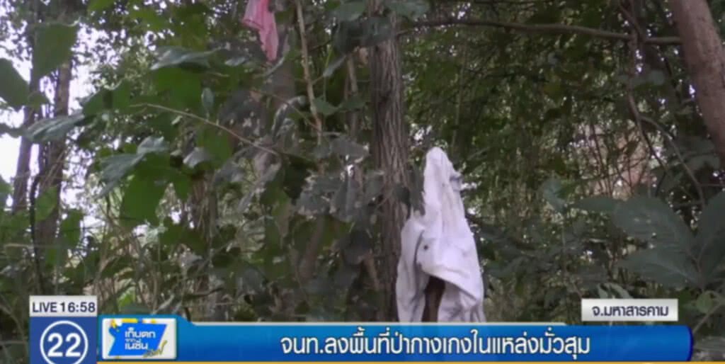 ตำรวจจัดระเบียบ "ป่ากางเกงใน" แหล่งมั่วสุมกลุ่มวัยรุ่น ตำรวจจัดระเบียบ "ป่ากางเกงใน" แหล่งมั่วสุมกลุ่มวัยรุ่น