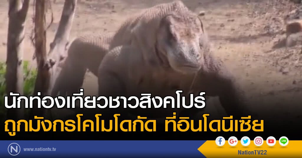 นักท่องเที่ยวชาวสิงคโปร์ ถูกมังกรโคโมโดกัด นักท่องเที่ยวชาวสิงคโปร์ ถูกมังกรโคโมโดกัด