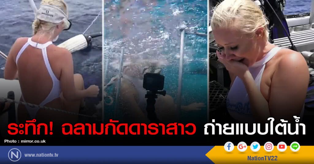ระทึก! ฉลามกัดดาราสาวถ่ายแบบใต้น้ำ ระทึก! ฉลามกัดดาราสาวถ่ายแบบใต้น้ำ