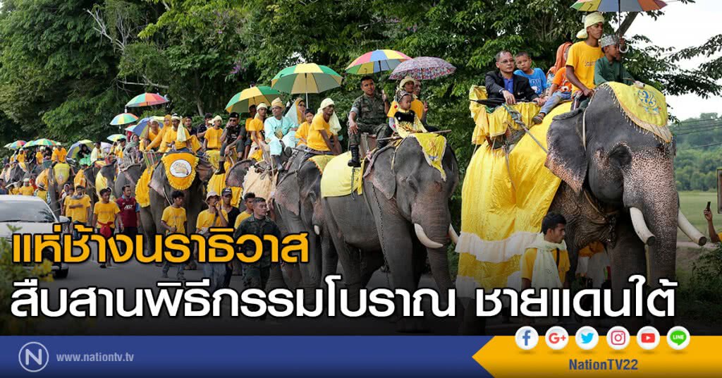 แห่ช้างนราธิวาส
สืบสานพิธีกรรมโบราณ ชายแดนใต้